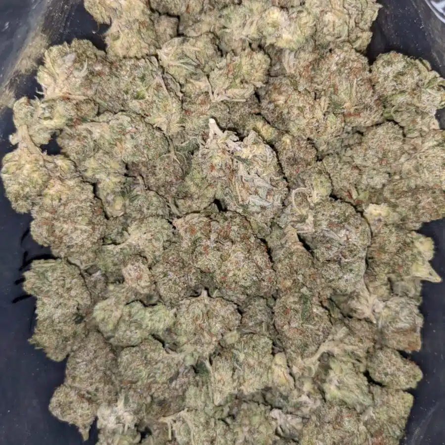 Alternative view of $69 Oz - Ghost Train Haze