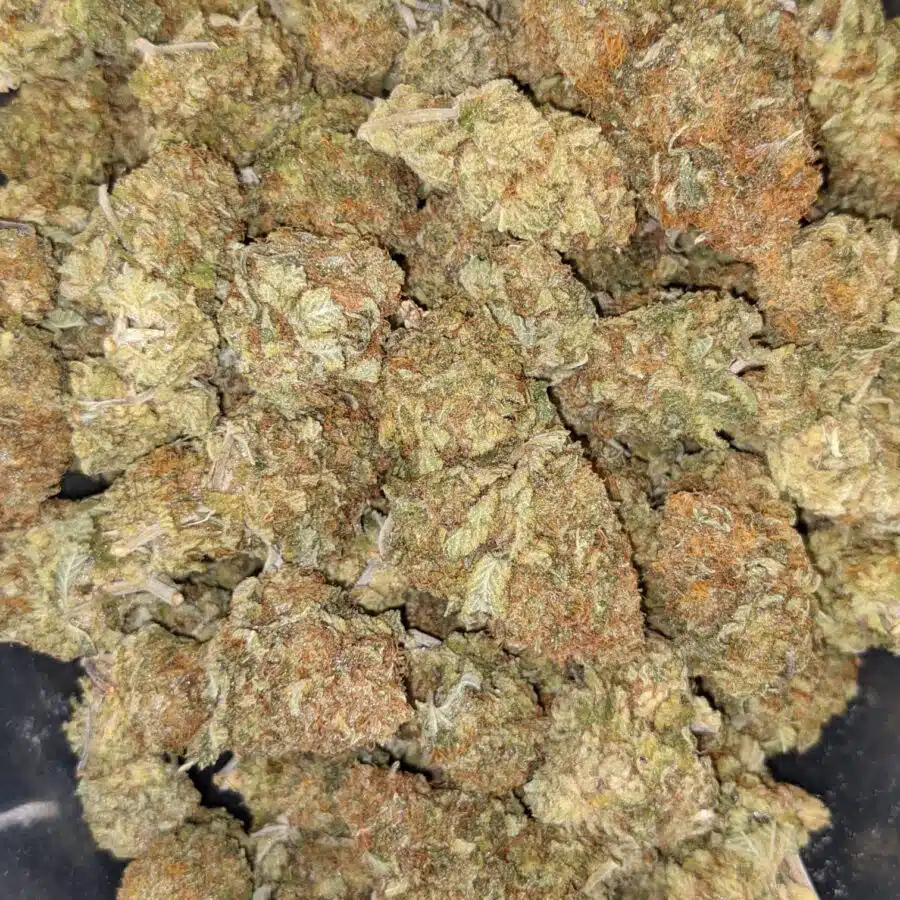 69 GHOST TRAIN HAZE 3 1 I $69 Oz - Ghost Train Haze