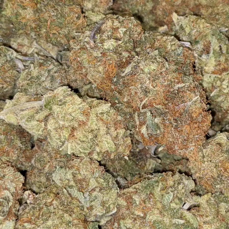 69 GHOST TRAIN HAZE 4 1 I $69 Oz - Ghost Train Haze