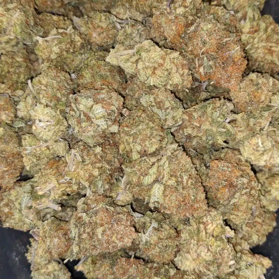 69 GHOST TRAIN HAZE 5 1 I $69 Oz - Ghost Train Haze