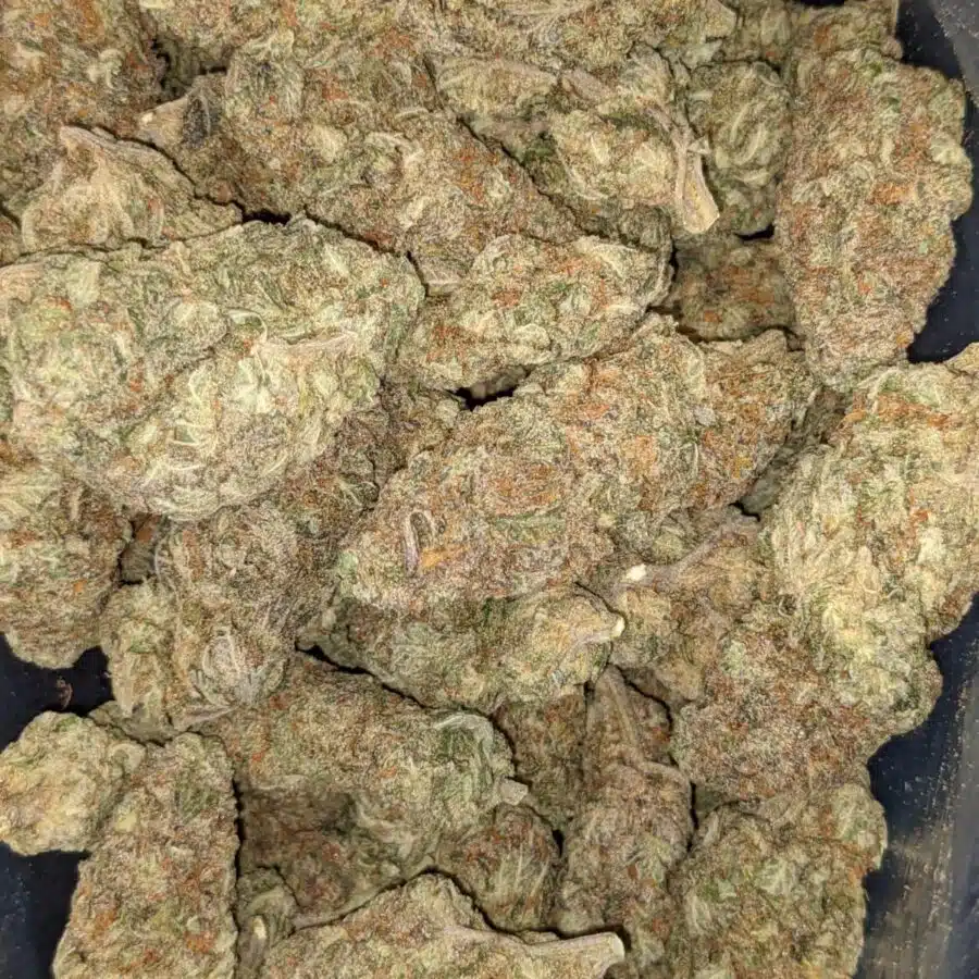 Alternative view of $99 Oz - Purple Nuken