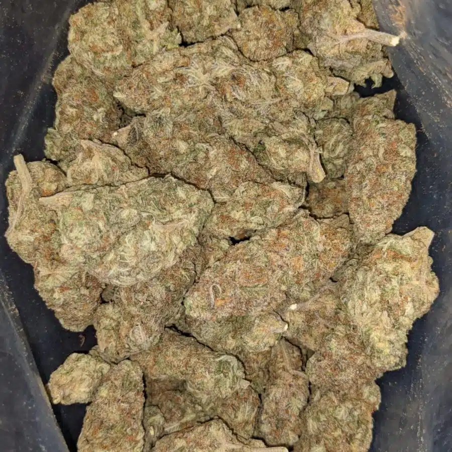 69 PURPLE NUKEN 2 I $99 Oz - Purple Nuken