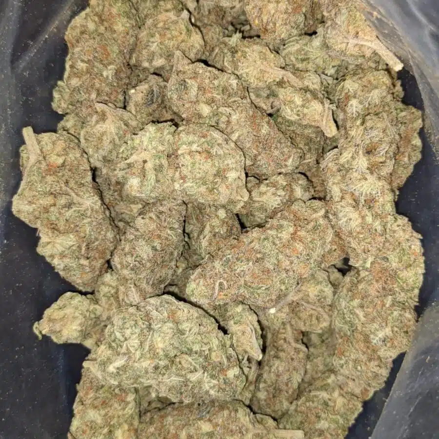 $99 Oz - Purple Nuken