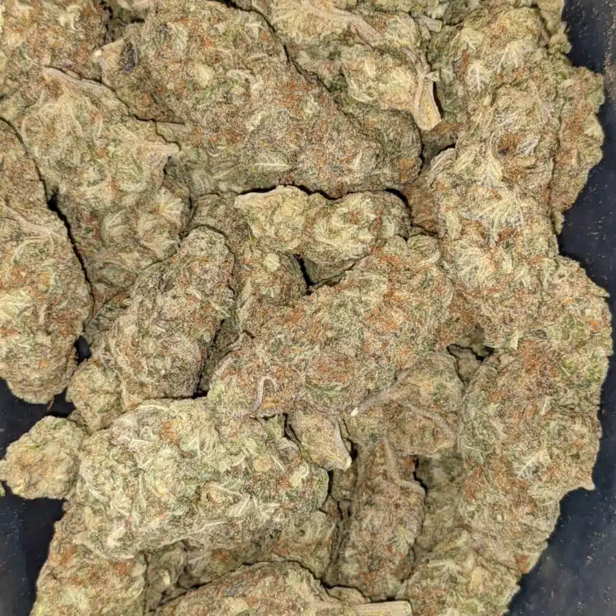 69 PURPLE NUKEN 5 I $99 Oz - Purple Nuken