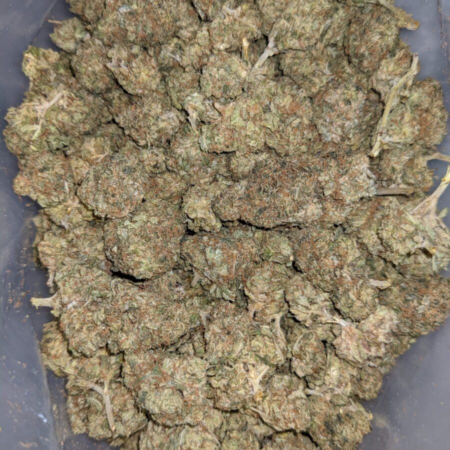 AA+ Bulk Bubba Special