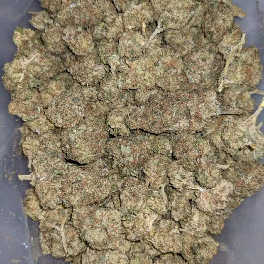 AA+ Bulk Bubba Special