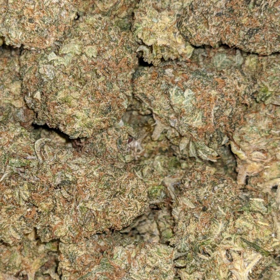 AA+ Bulk Bubba Special - Image 5