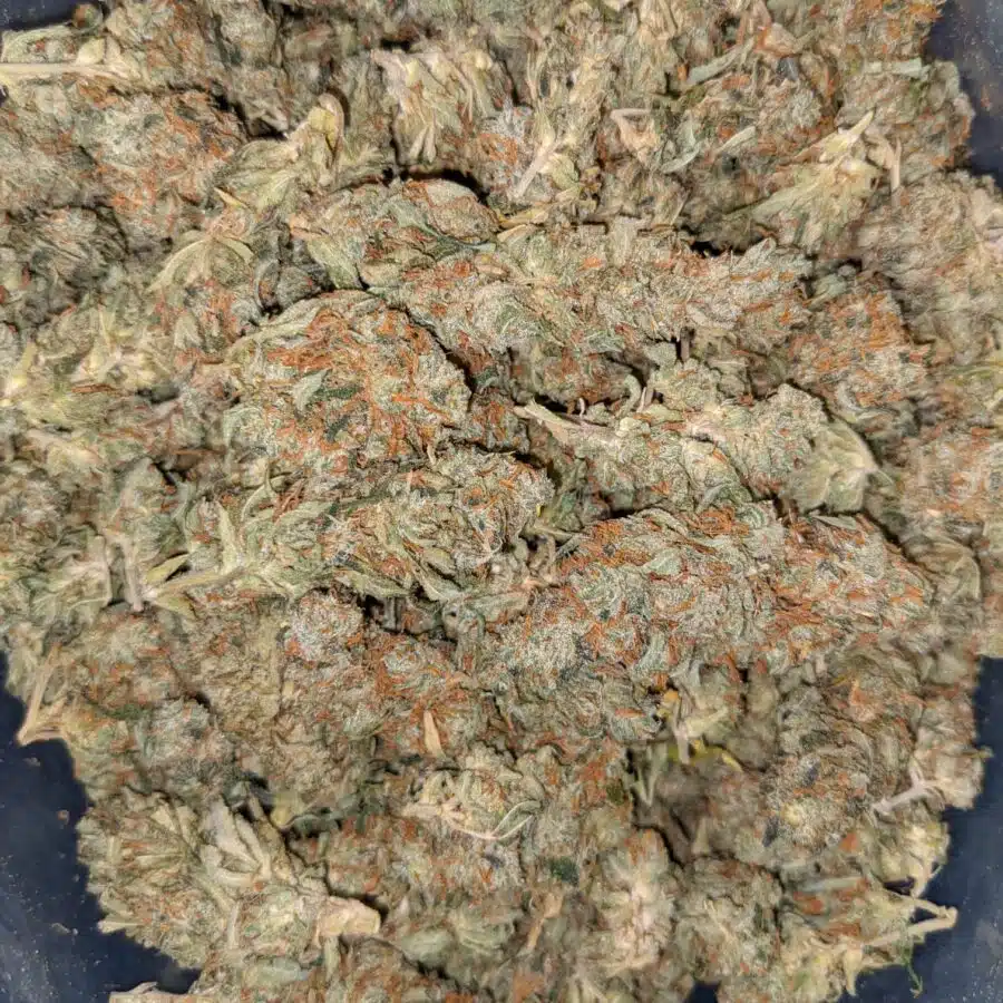 AA hybrid2 I AA+ Bulk Hybrid