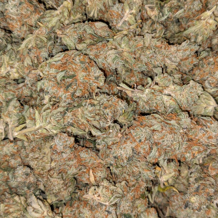 AA+ Bulk Hybrid - Image 4