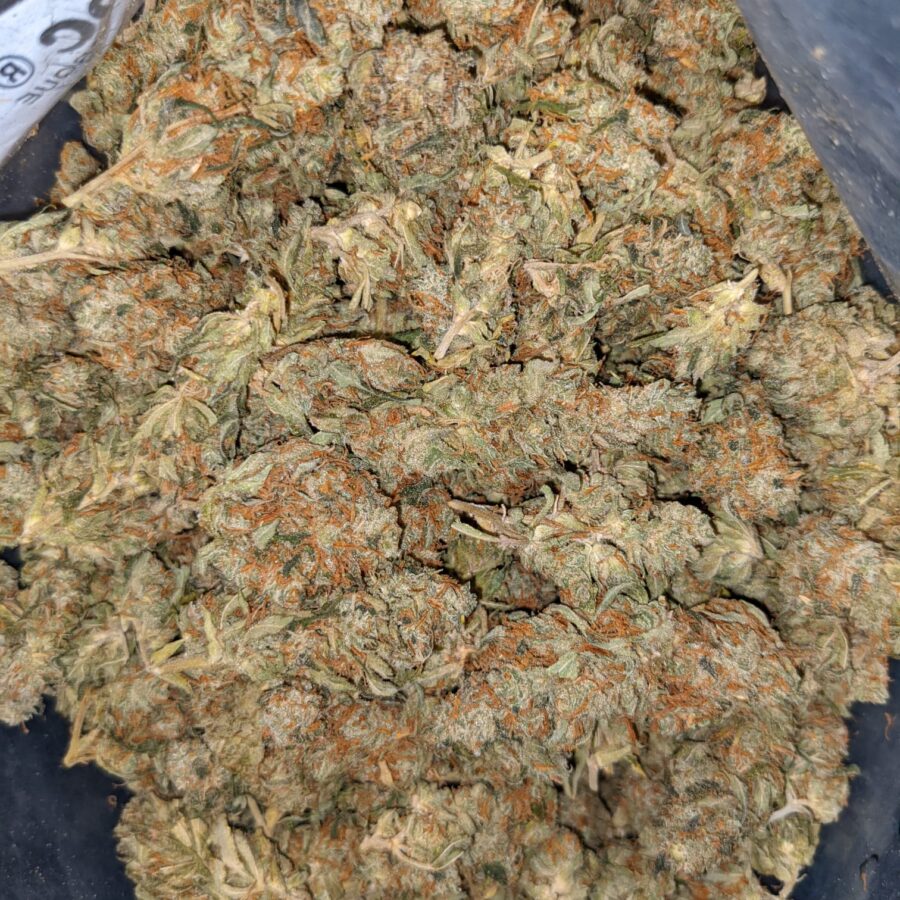 AA+ Bulk Hybrid - Image 5