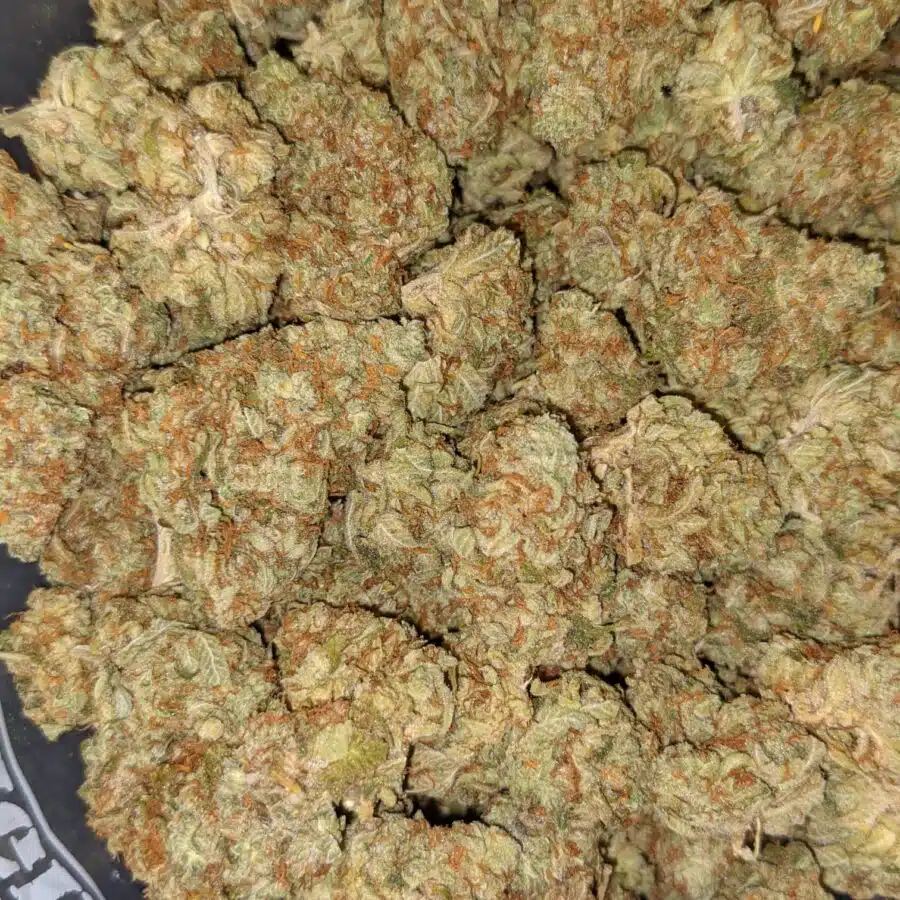 BANANA SPLIT DOD 4 I $69 Oz - Banana Split