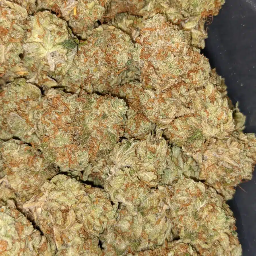 BANANA SPLIT DOD 5 I $69 Oz - Banana Split
