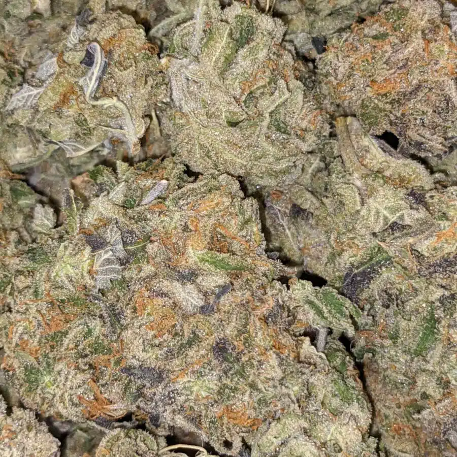 BIG BUDDHA CHEESE 1 I $69 Oz - Big Buddha Cheese