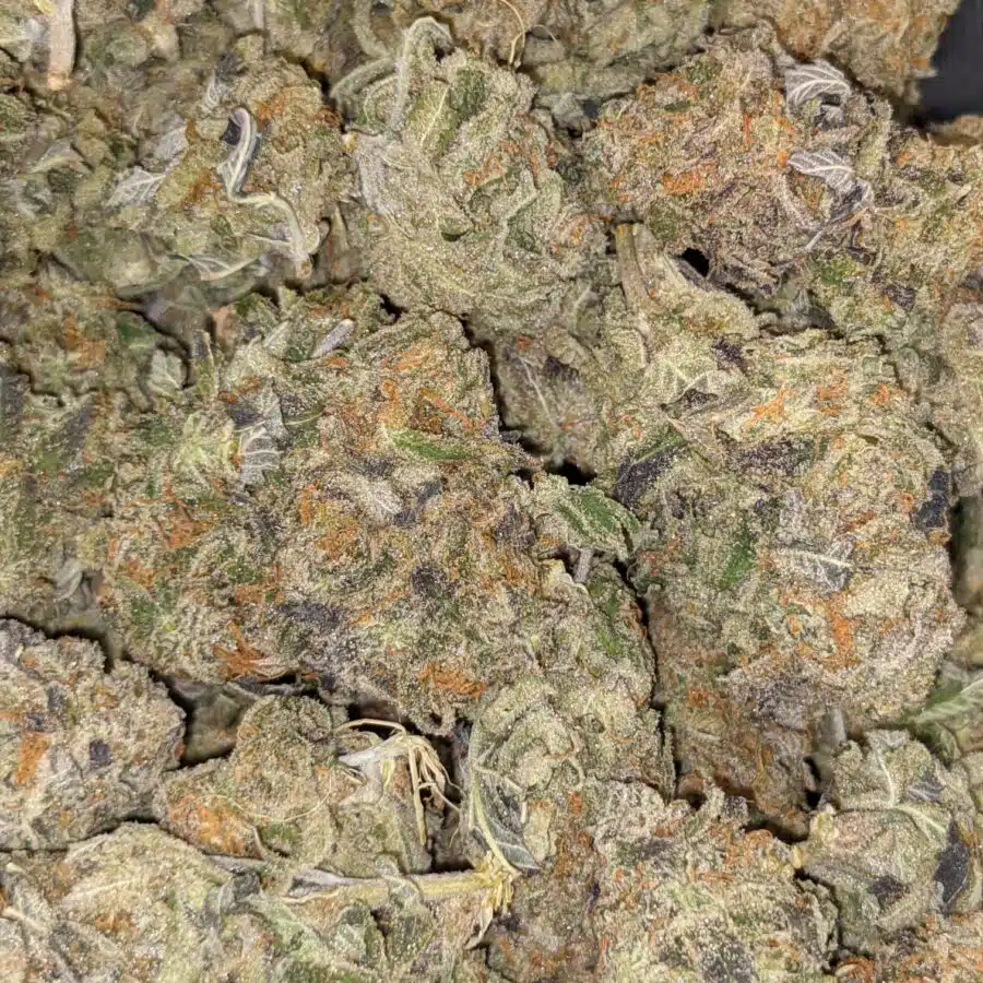 BIG BUDDHA CHEESE 3 I $69 Oz - Big Buddha Cheese