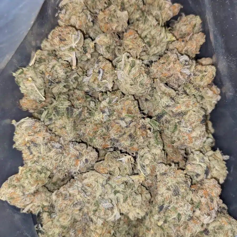 BIG BUDDHA CHEESE 4 I $69 Oz - Big Buddha Cheese