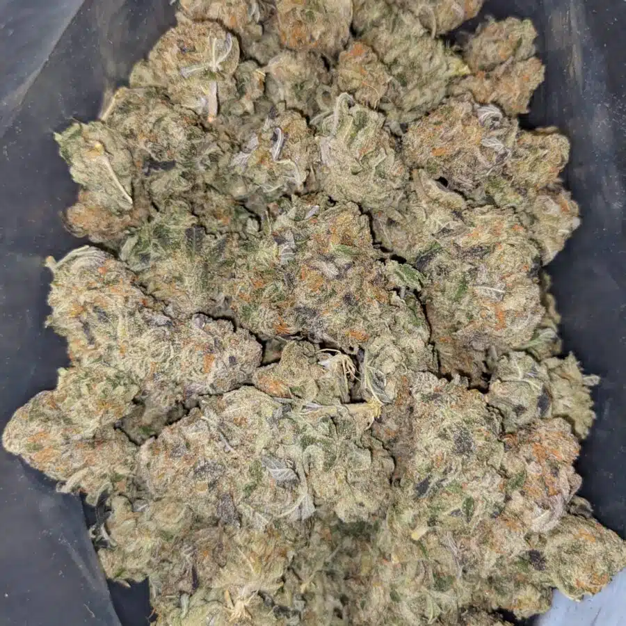BIG BUDDHA CHEESE 5 I $69 Oz - Big Buddha Cheese