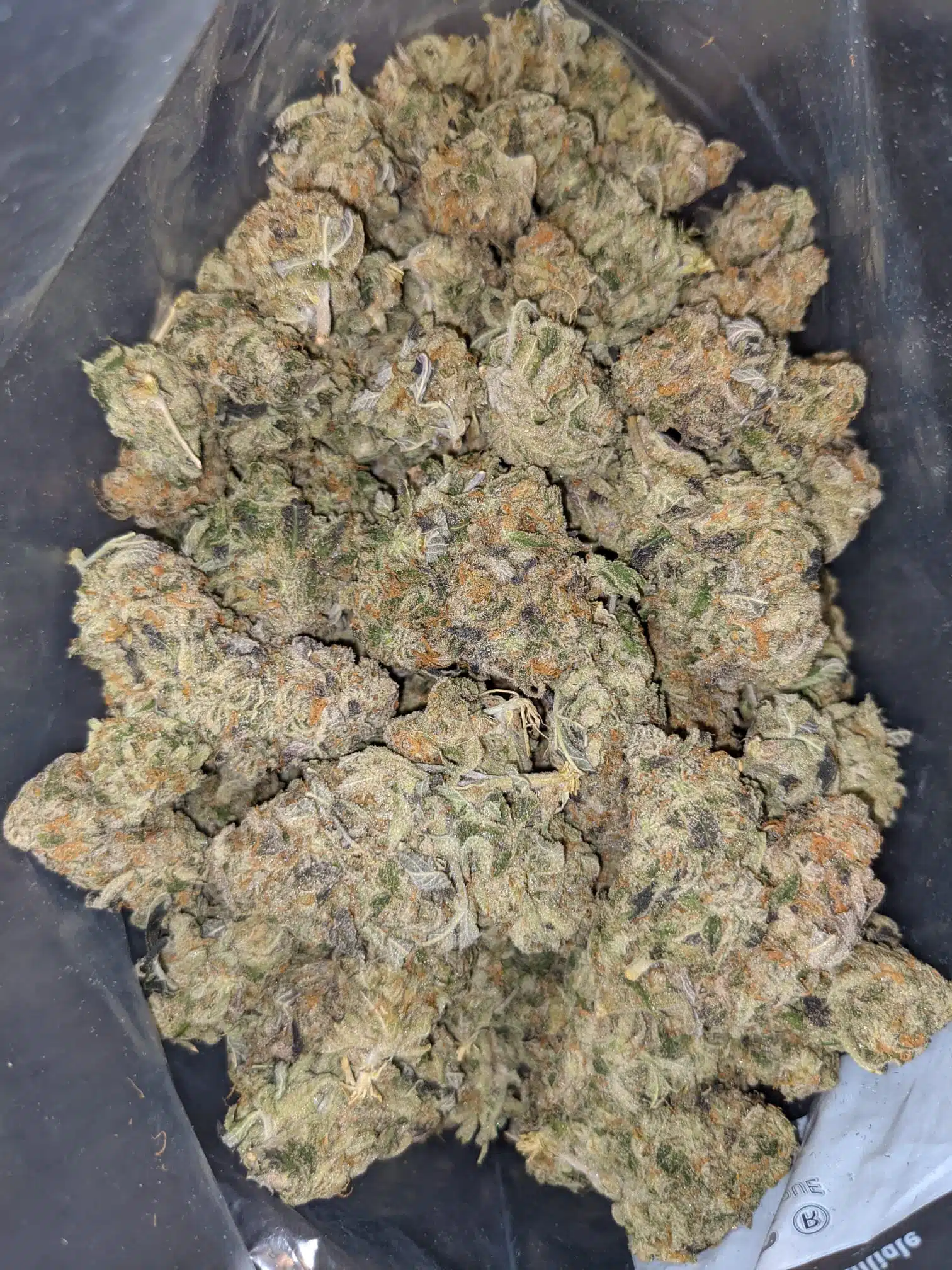 $69 Oz - Big Buddha Cheese - Image 6