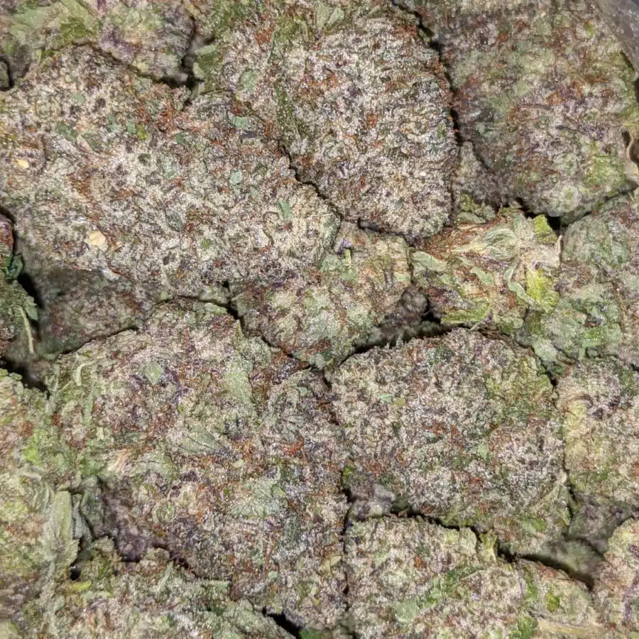 BLACK MAMBA AAAA 2 I $89 Oz - Black Mamba