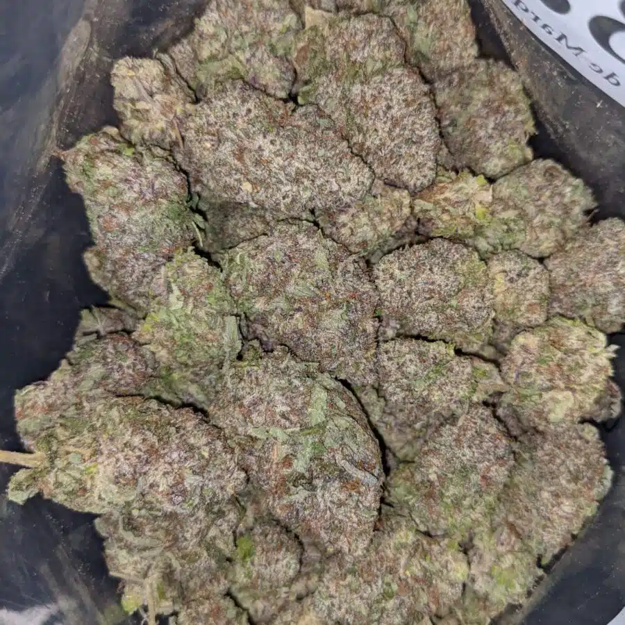 BLACK MAMBA AAAA 3 I $89 Oz - Black Mamba
