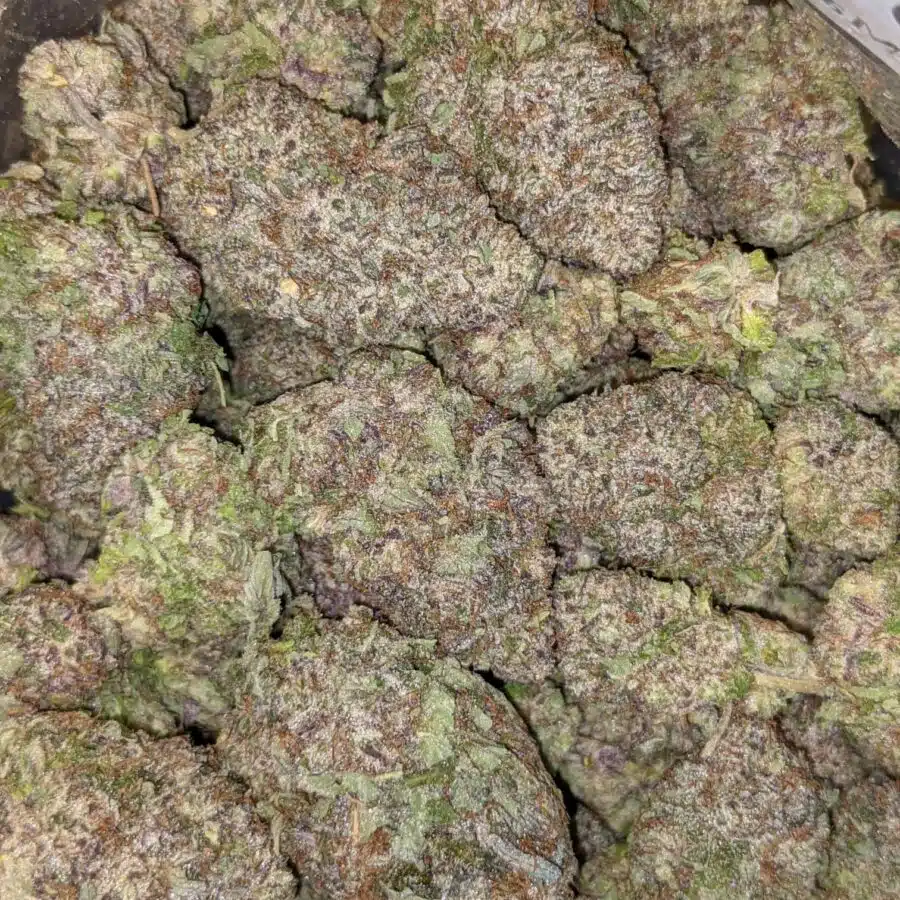 BLACK MAMBA AAAA 5 I $89 Oz - Black Mamba