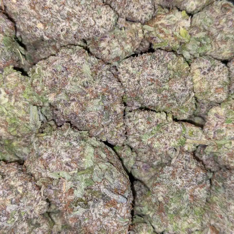 BLACK MAMBA AAAA 6 I $89 Oz - Black Mamba