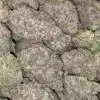 $89 Oz - Black Mamba