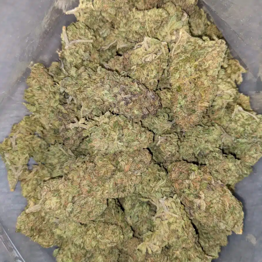 CBD DREAM 2 I CBD Dream