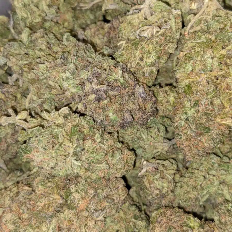 CBD DREAM 4 I CBD Dream