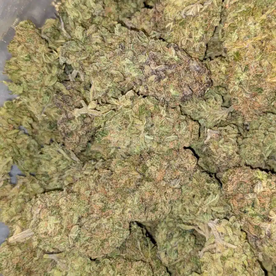 CBD DREAM 5 I CBD Dream