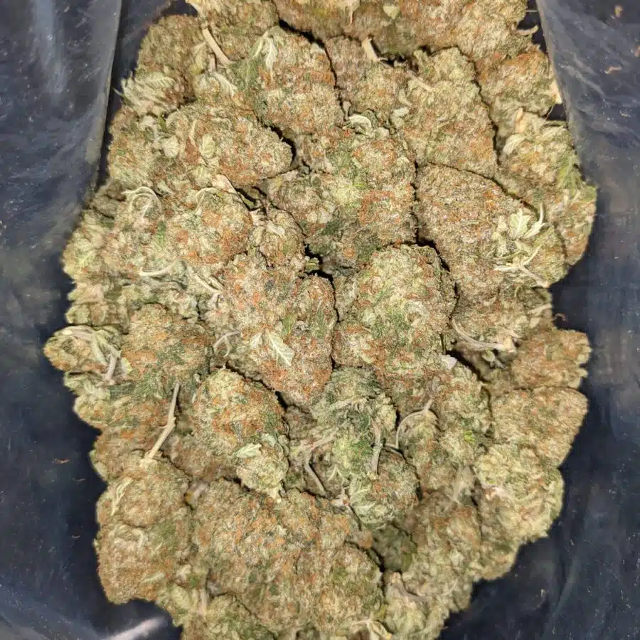 Alternative view of Godfather Kush - *Deal of the Day*