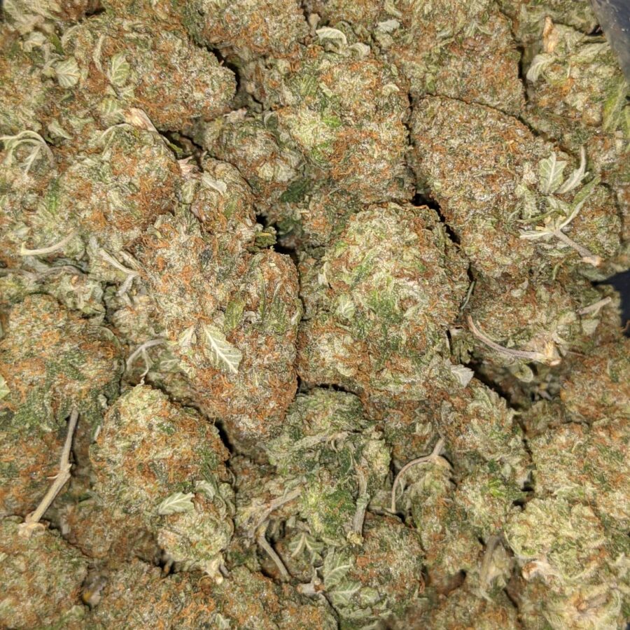 GODFATHER DOD 2 I Godfather Kush - *Deal of the Day*