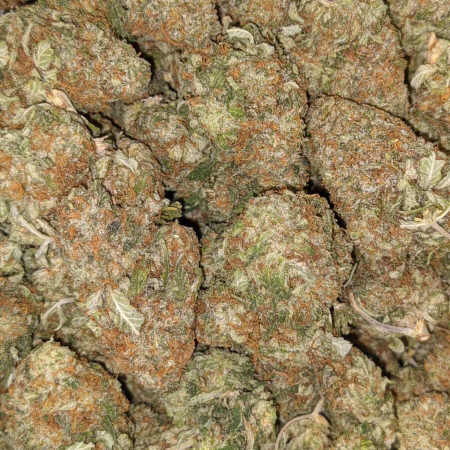 GODFATHER DOD 3 I Godfather Kush - *Deal of the Day*
