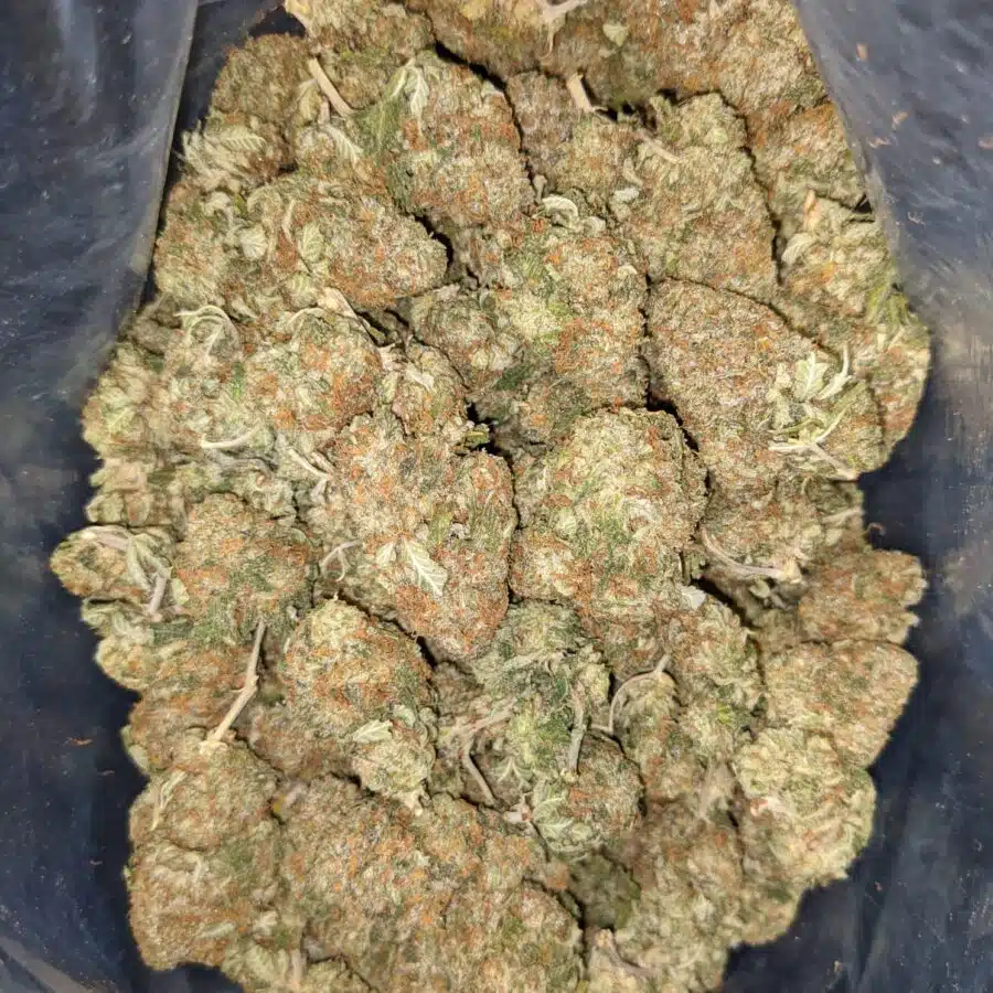 Godfather Kush - *Deal of the Day*
