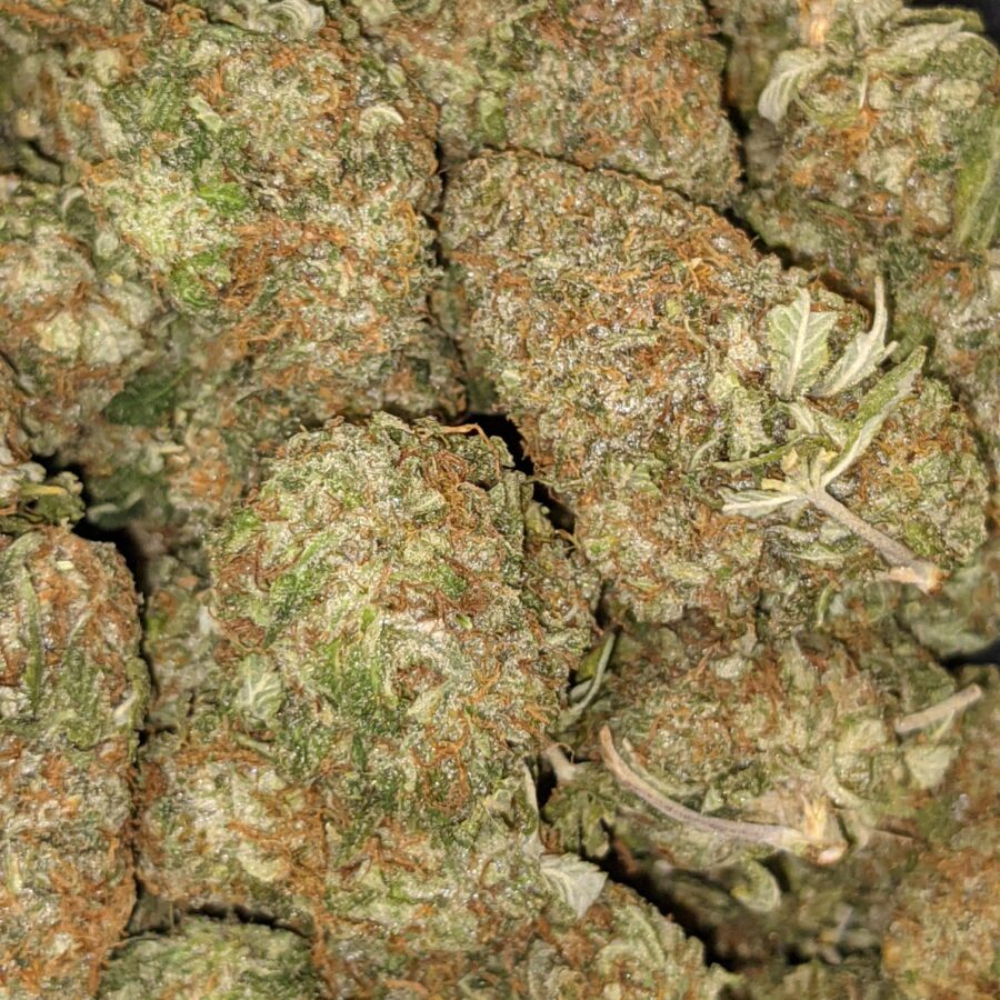 GODFATHER DOD 5 I Godfather Kush - *Deal of the Day*