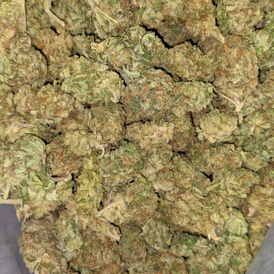 GREEN BUBBA DOD 1 scaled I $69 Oz - Green Bubba