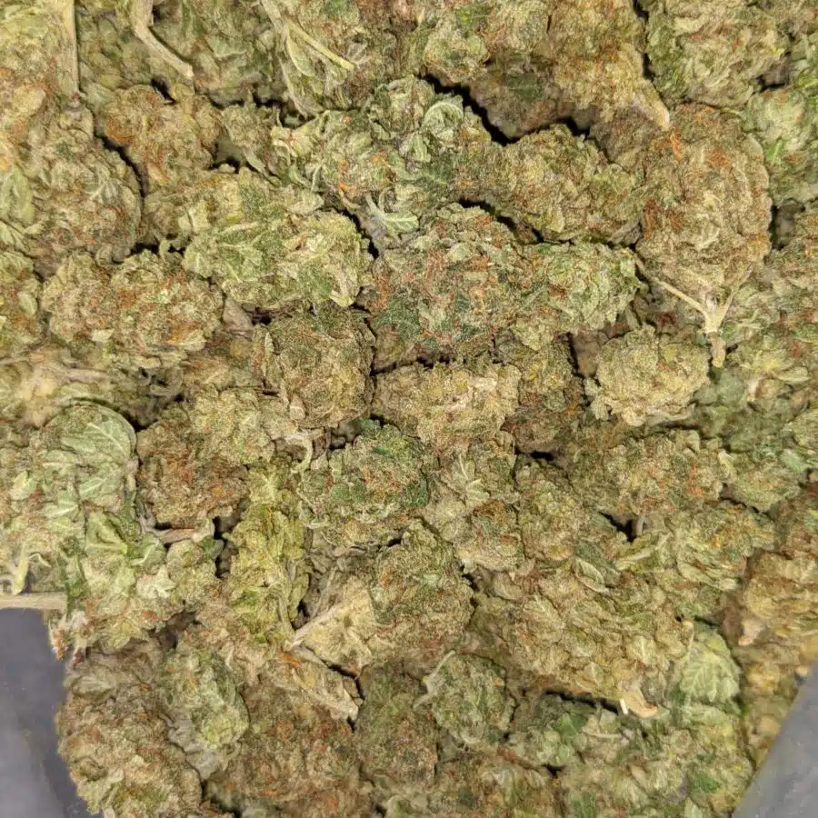 GREEN BUBBA DOD 1 scaled I $69 Oz - Green Bubba