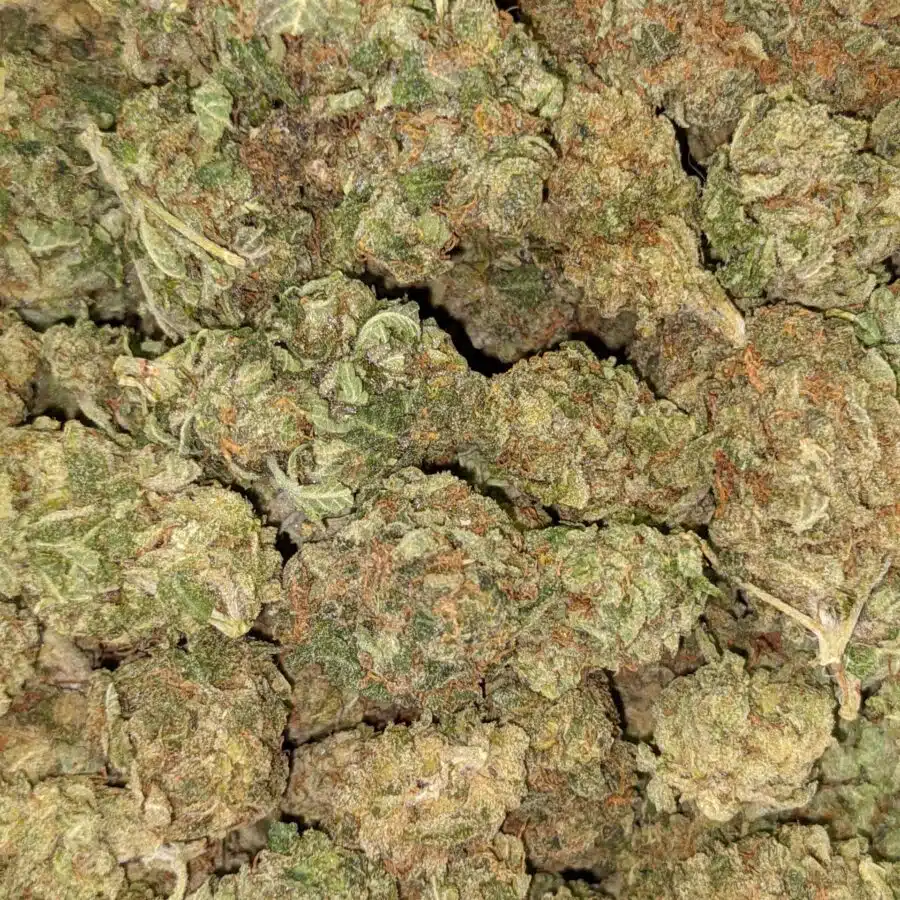 GREEN BUBBA DOD 2 scaled I $69 Oz - Green Bubba