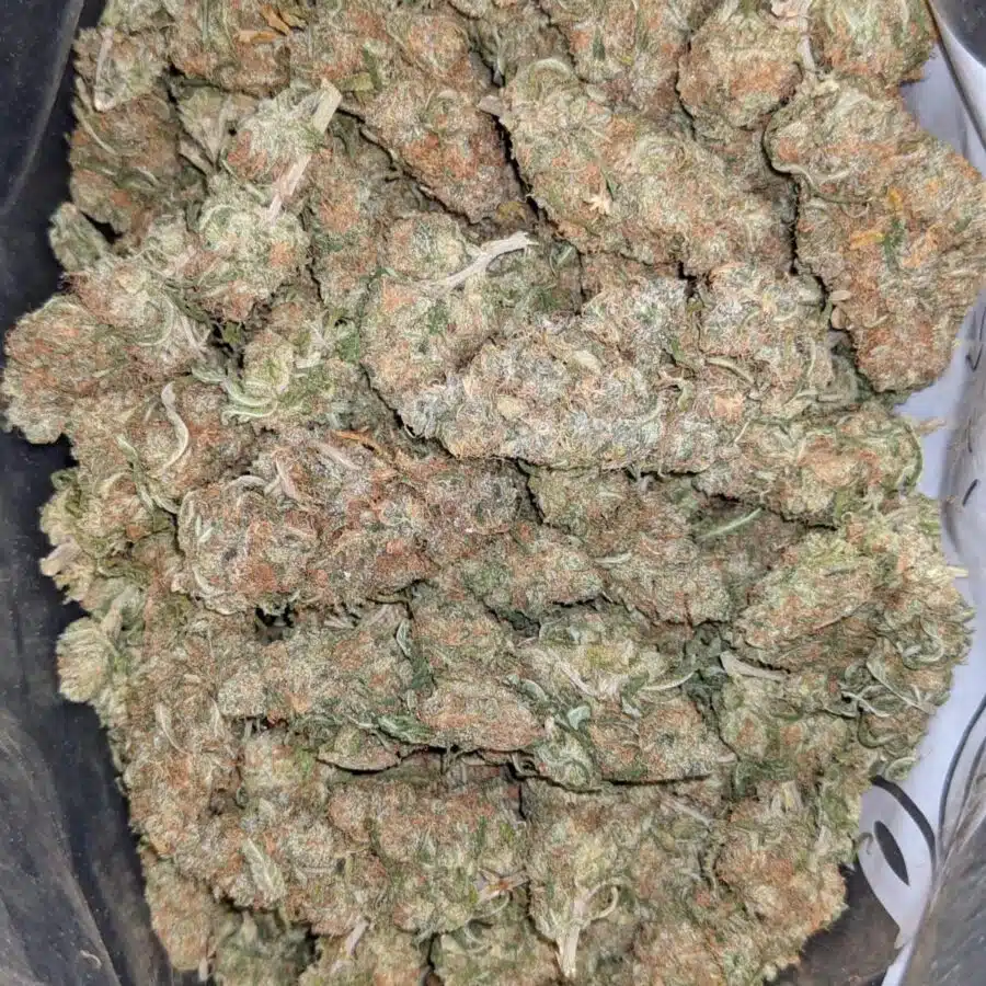 Jungle juice dod1 I $69 Oz - Jungle Juice