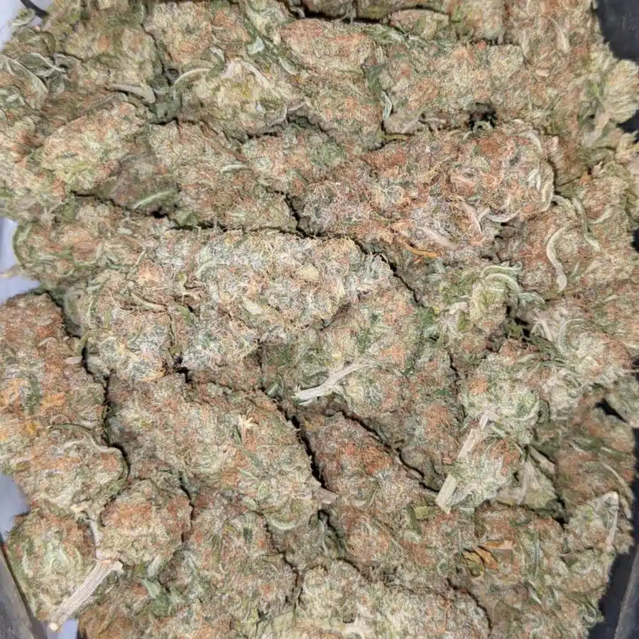 Jungle juice dod2 I $69 Oz - Jungle Juice