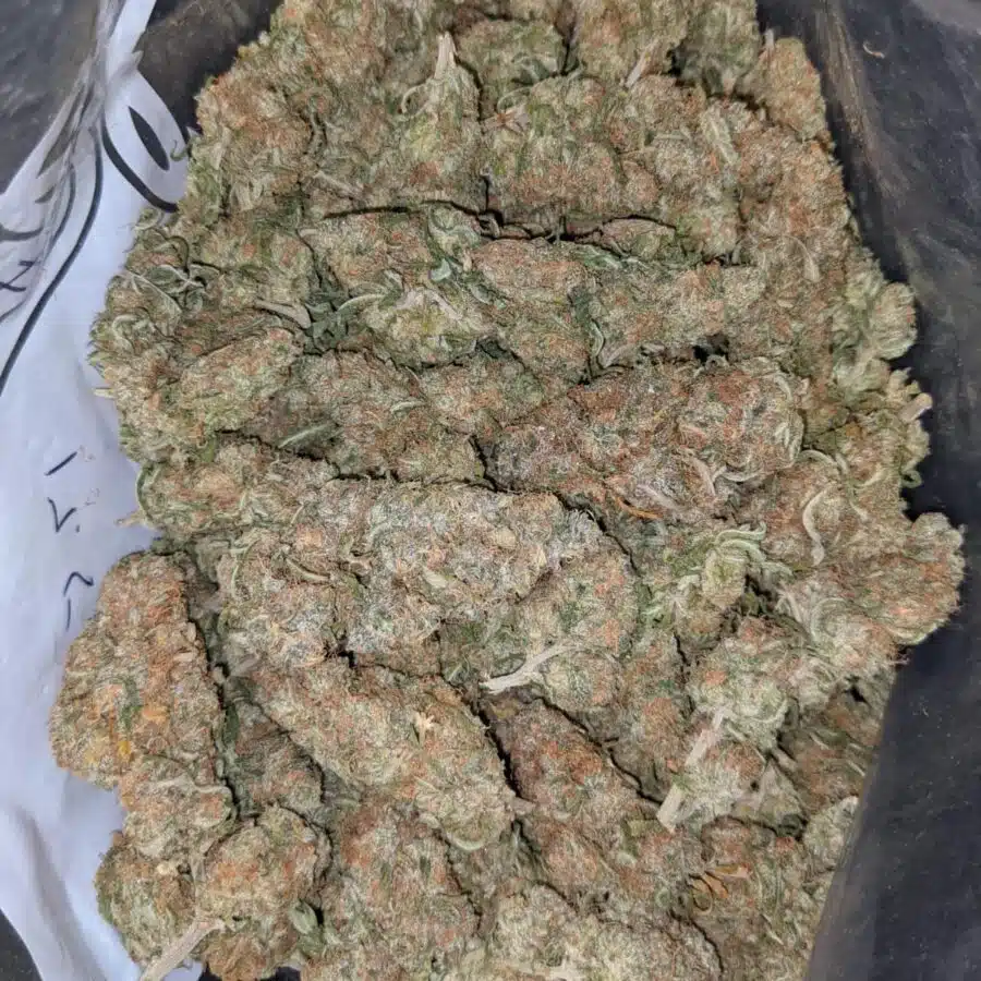 $69 Oz - Jungle Juice