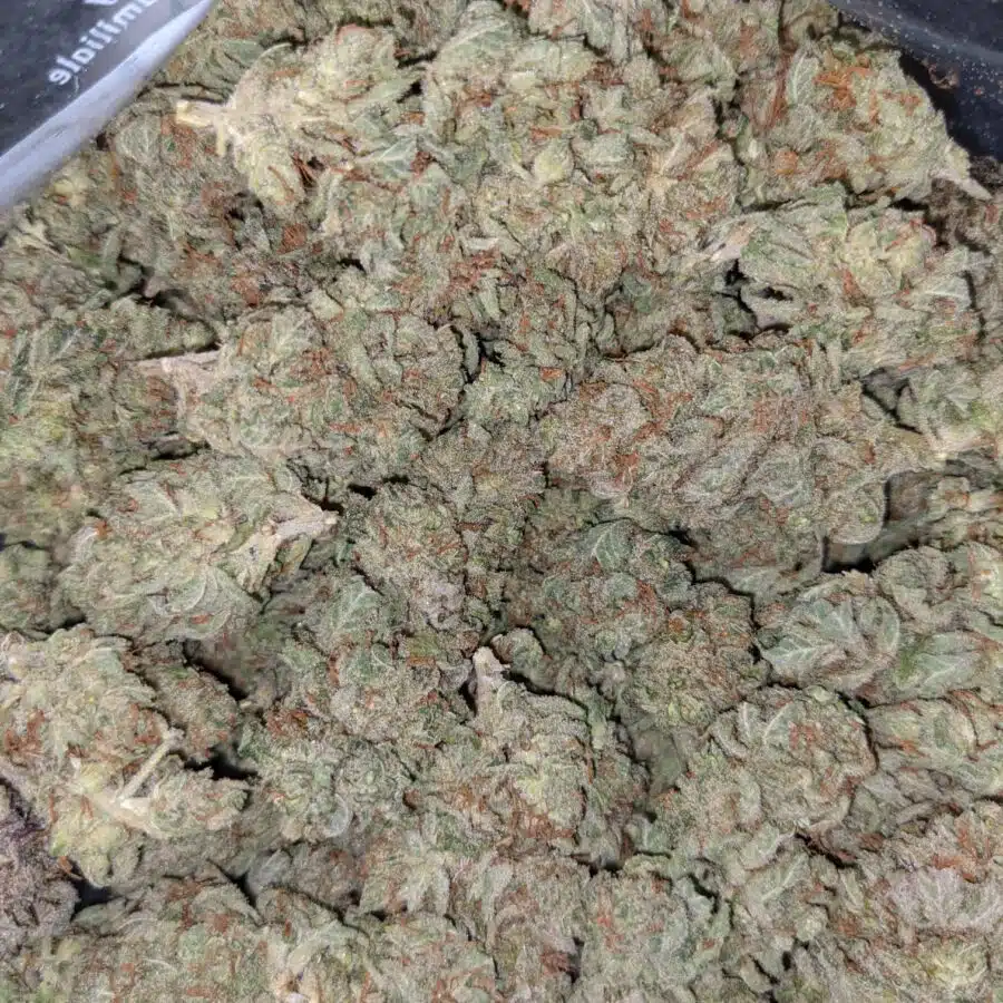 LAUGHING BUDDHA DOD 2 I $69 Oz - Laughing Buddha