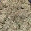 $69 Oz - Laughing Buddha