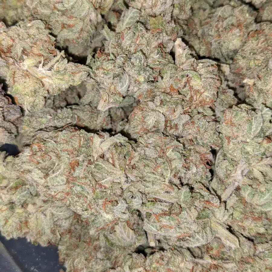 LAUGHING BUDDHA DOD 4 I $69 Oz - Laughing Buddha