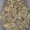 Lemon Zest - *Deal of the Day*