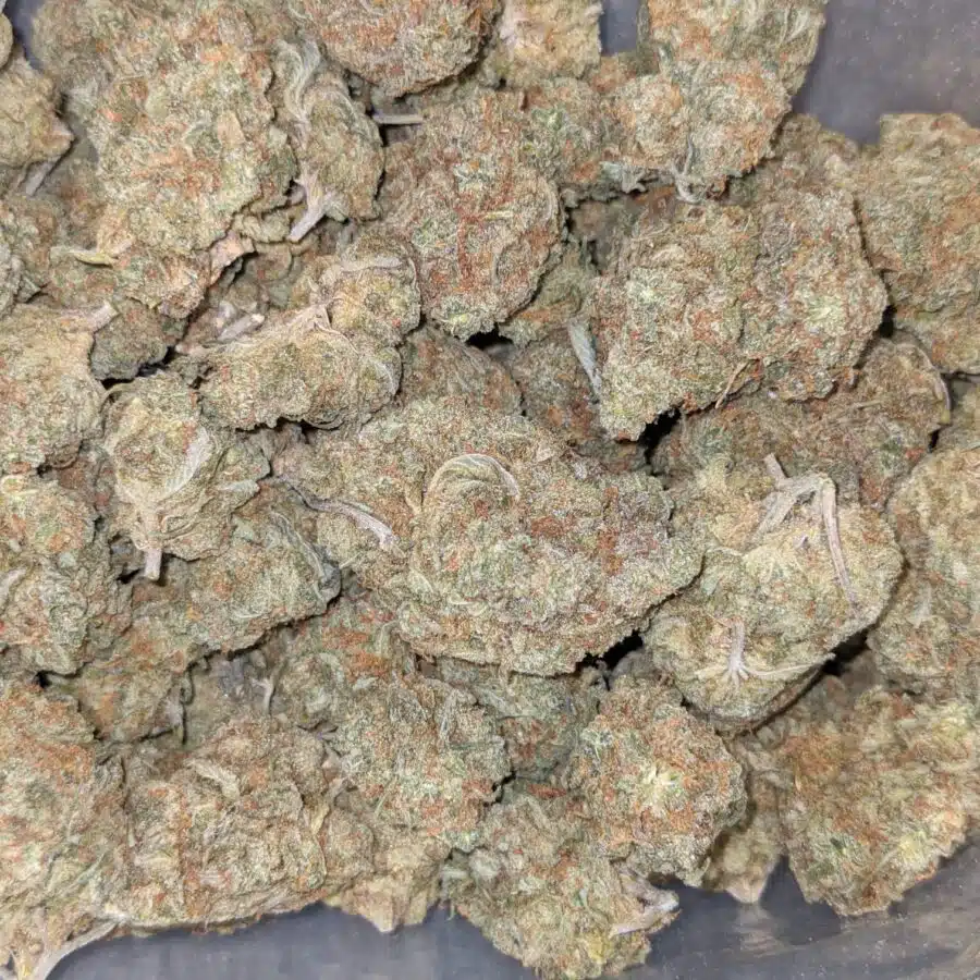 LEMONSICLE 1 I Lemonsicle