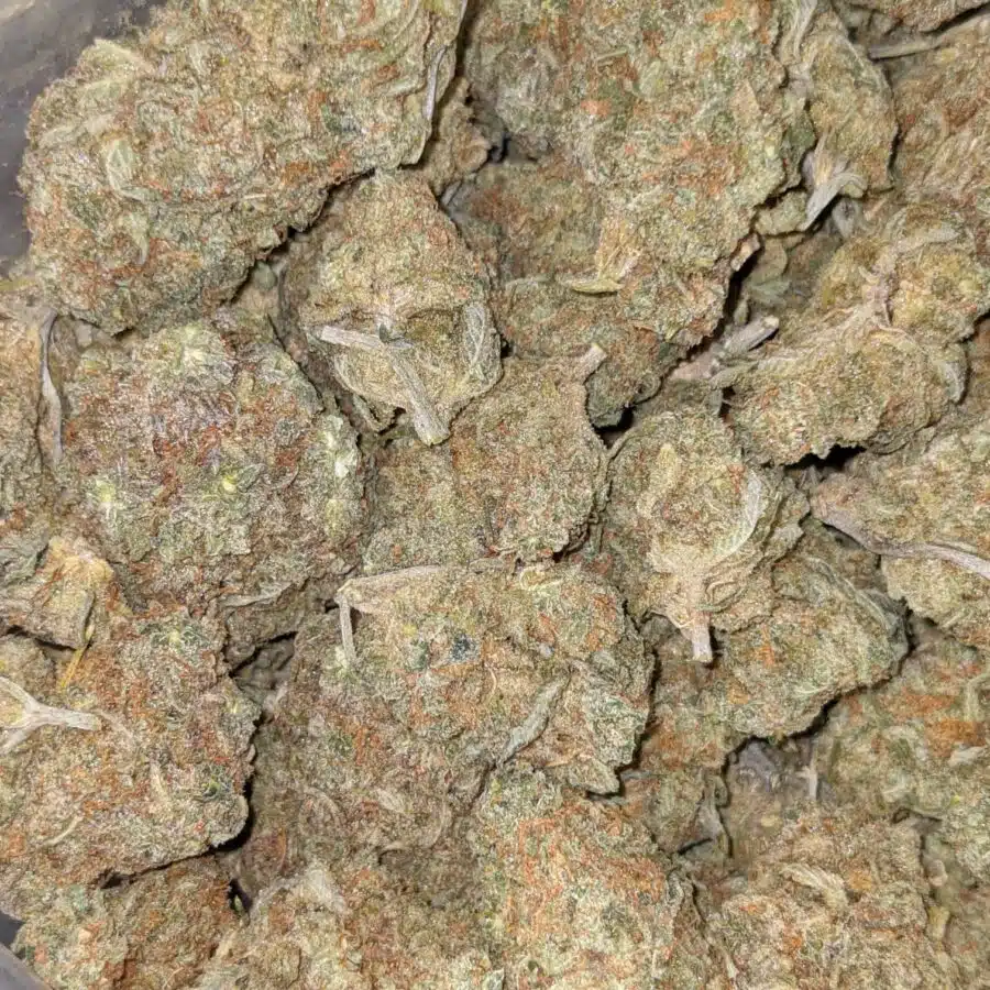 LEMONSICLE 2 I Lemonsicle