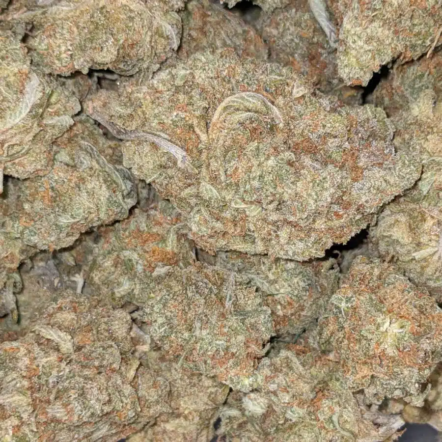 LEMONSICLE 5 I Lemonsicle