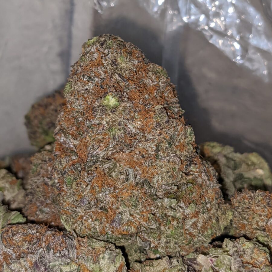 Mint Chocolate Chip - Image 6