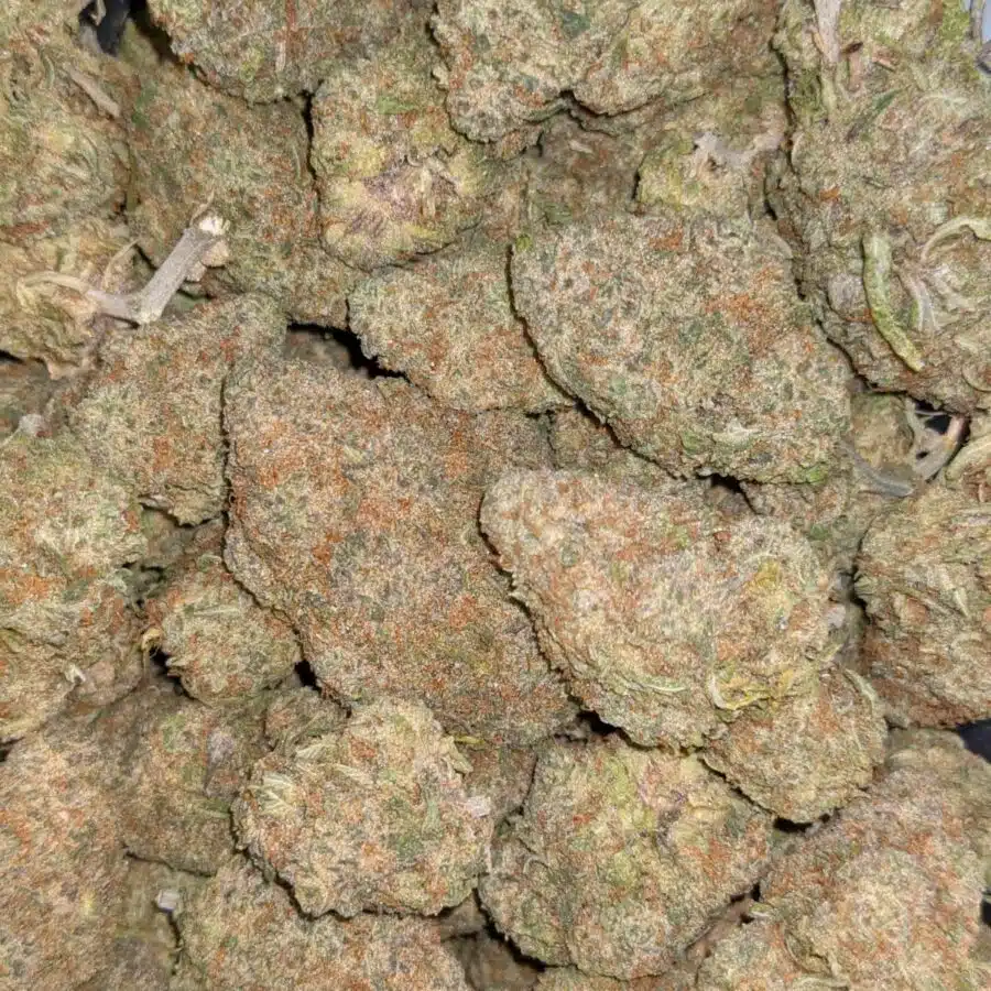 NUKEN AAA 2 I $99 Oz - Nuken #2