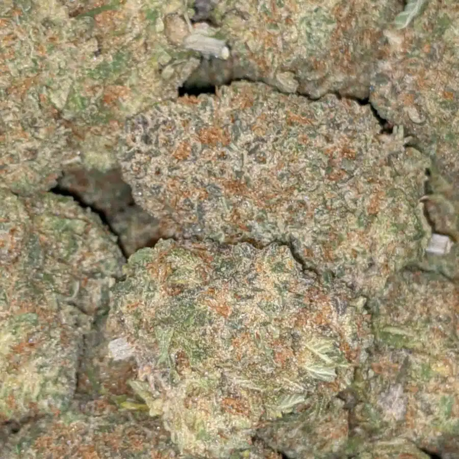 NUKEN AAA 3 I $99 Oz - Nuken #2